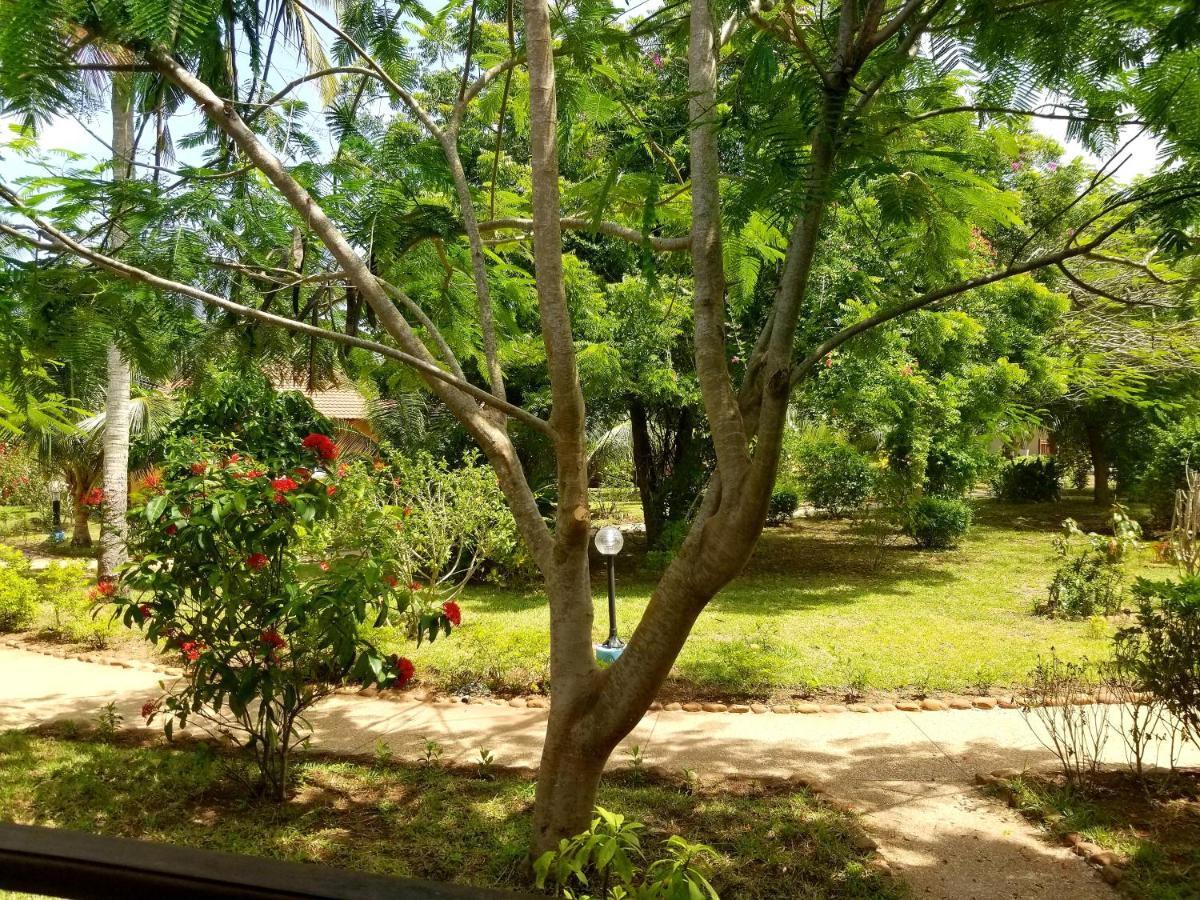 Charlestina Beach Resort Ampeni Dış mekan fotoğraf