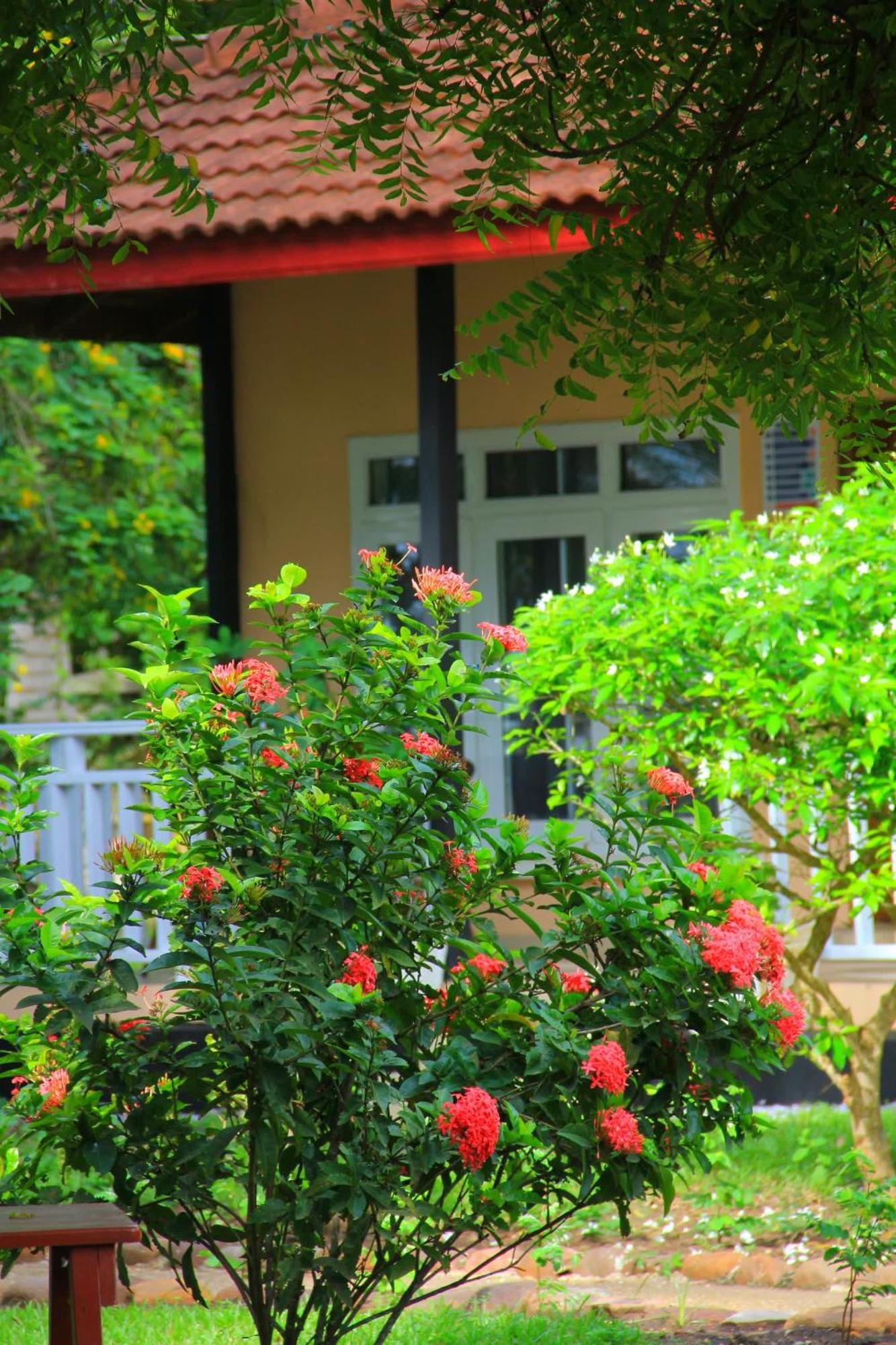 Charlestina Beach Resort Ampeni Dış mekan fotoğraf